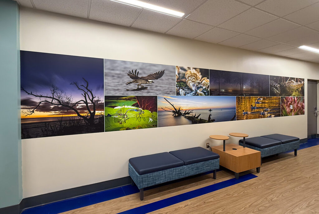 GCSC Natural Sciences Collage